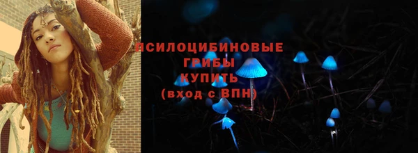 хмурый Александровское