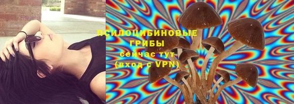 хмурый Александровское