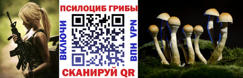 закладка  Алзамай  Галлюциногенные грибы GOLDEN TEACHER 